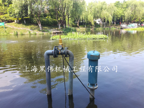 河道治理沉水式鼓探花视频网站